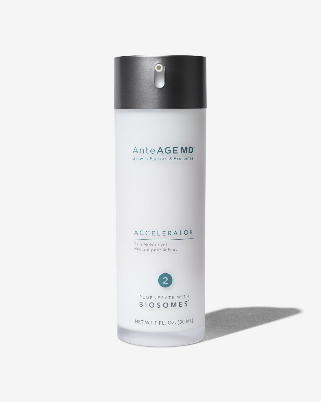 AnteAGE Accelerator